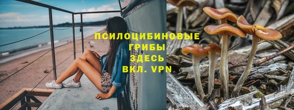 не бодяженный Балахна